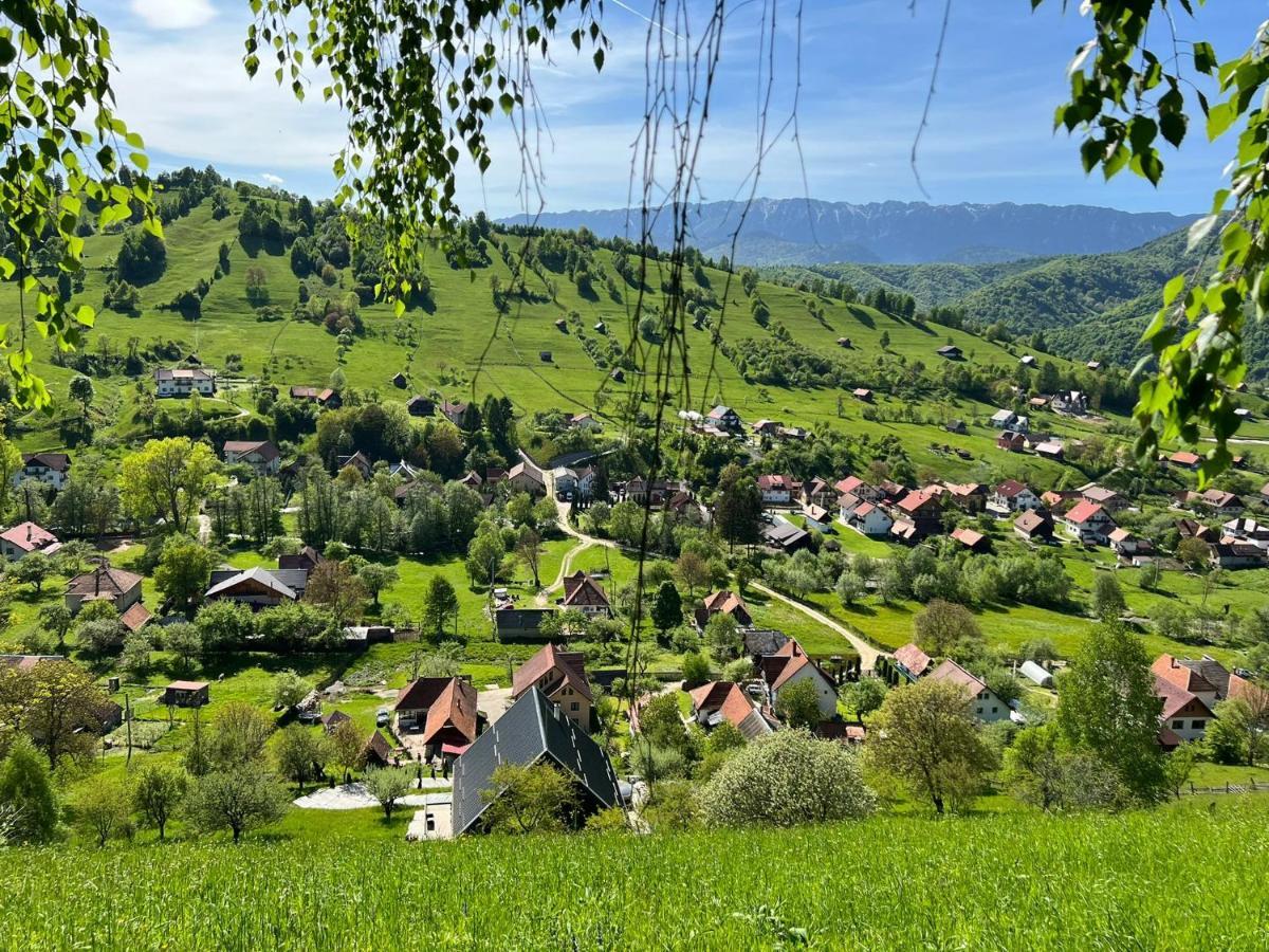 Vila Monica Bran  Buitenkant foto