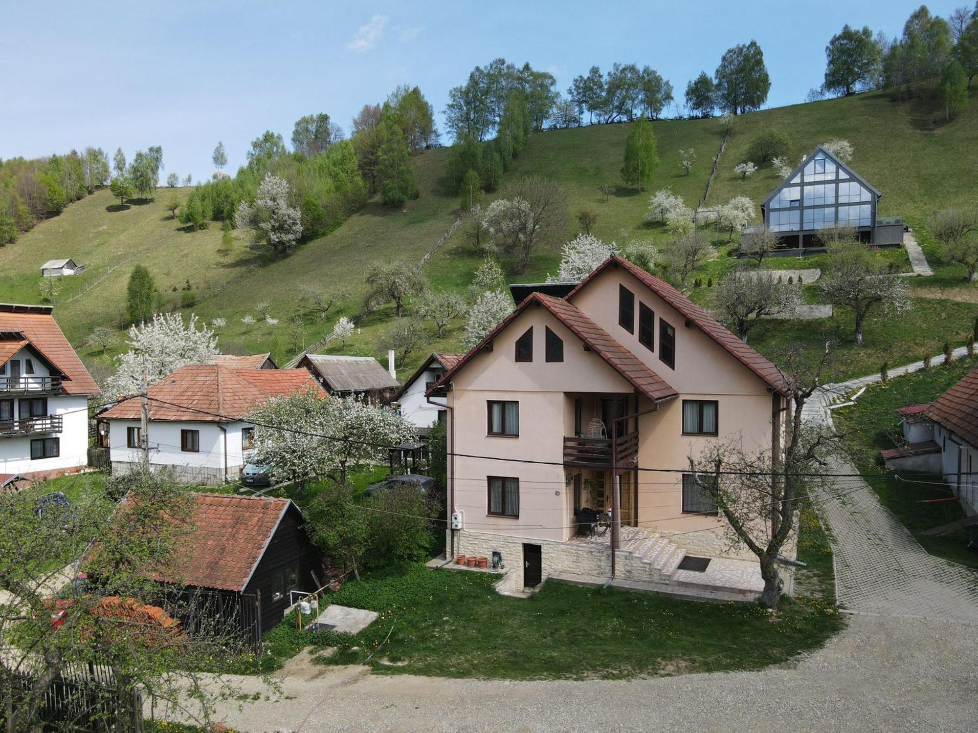Vila Monica Bran  Buitenkant foto