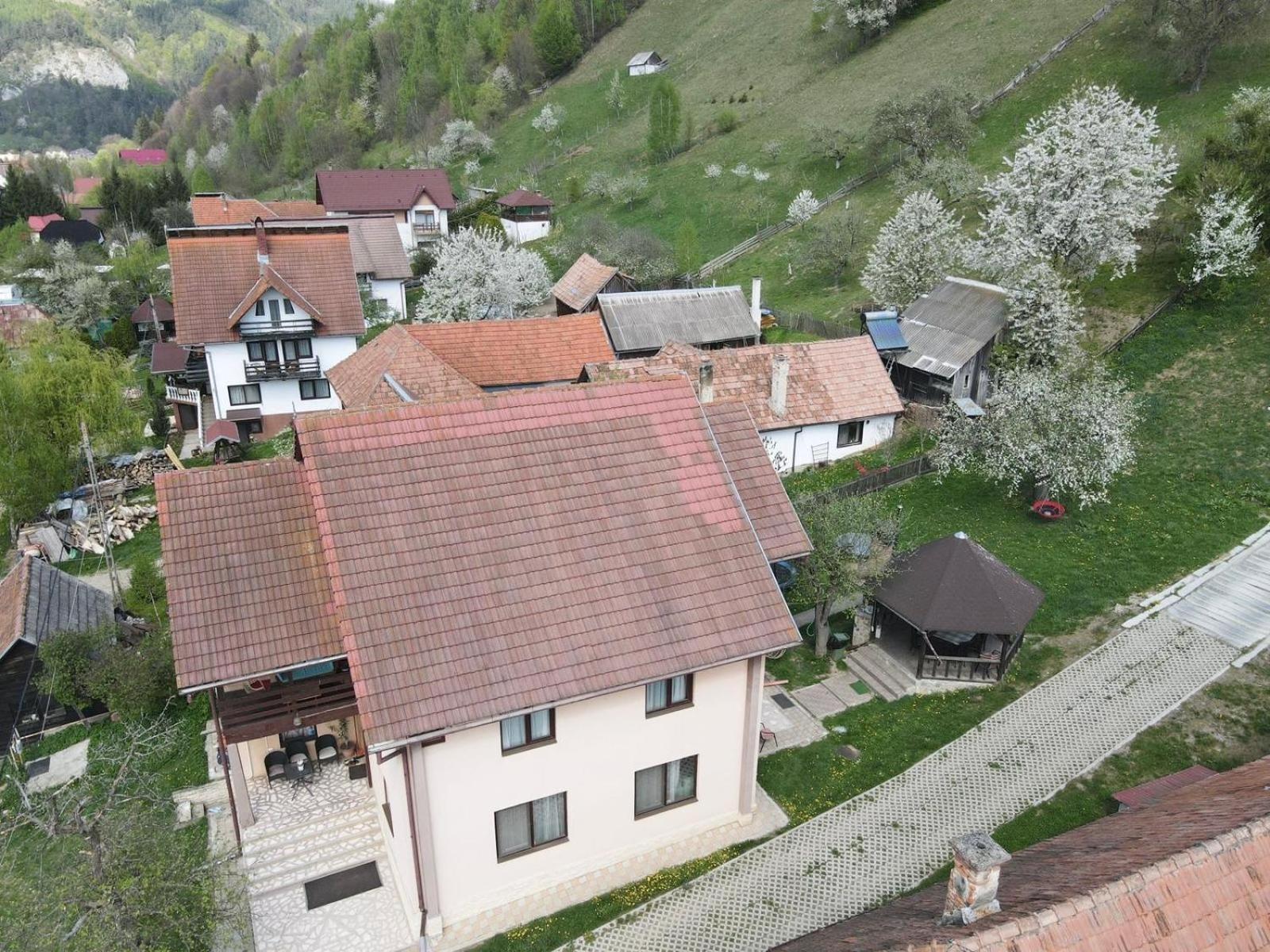 Vila Monica Bran  Buitenkant foto